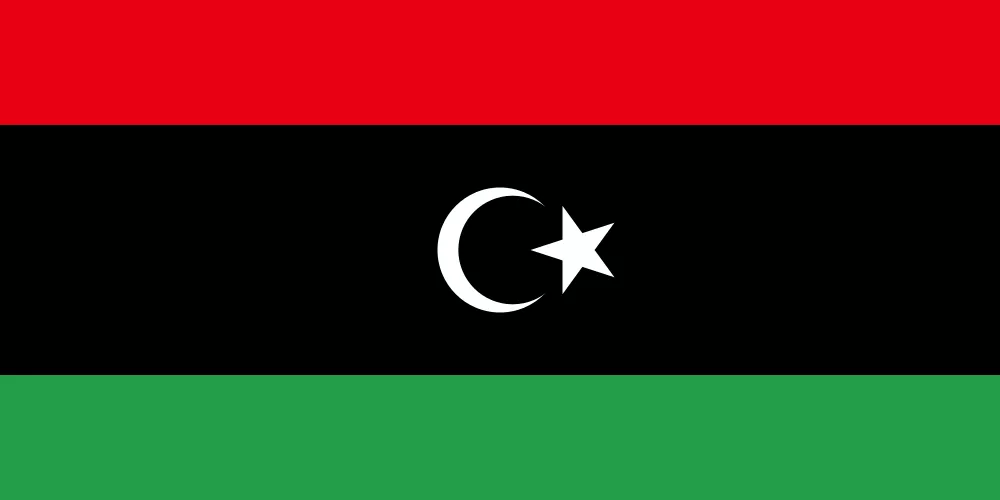 Flag of
